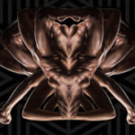 15musclarEHThumb